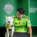 써드 모터스 이미지