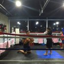 크로스핏 군산 이미지