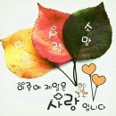 11-13 이미지