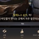 대륙카서비스 이미지