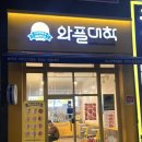 와플대학대구월성캠퍼스 | 대구 월성동디저트 추천 와플대학 두바이초코와플 후기