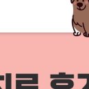 온누리동물병원(본점) 네이버블로그