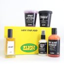 히어로바디 | 2026 러쉬 프레쉬 세일 기간 추천템 향수 샤워젤 바디컨디셔너 바디스크럽 사용법 정보