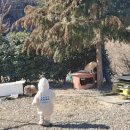 안포 농장 이미지