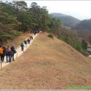 한반도농업협동조합 Daum카페