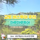[일본 버스투어 추천] 엄마와 함께한 교토·오사카 일일투어, 버스투어로 완벽하게🚍