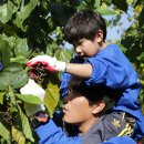 송호농장 이미지
