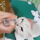 신일환동물병원 이미지