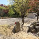 율곡3 | 파주 율곡캠핑장 후기｜조용해서 만족한 서울 근교 캠핑장