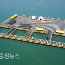 천수만해상낚시공원 이미지