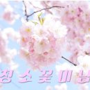 (주)봄날엔청소 이미지