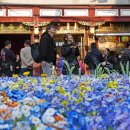 예원장식 이미지