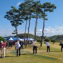 파크골프 이미지