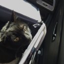 맥동물병원 이미지