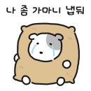 메아리식당 이미지