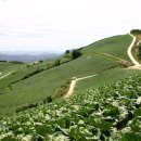 하늘구름목장 이미지