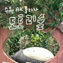 가나 문구 수퍼 | 수원 AK플라자 도토리숲 &amp; 애니랜드 스폰지밥 면허증 만들기!