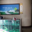 골든카센타 이미지