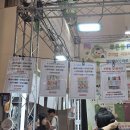 명진바이오 | 제38회 부산 드림 베이비페어 (벡스코 6월) 첫날 방문 및 구매후기(주말주차 작은꿀팁)