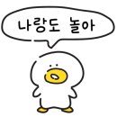 개코샵 이미지