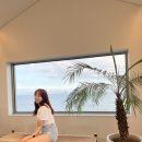 카카오 이미지