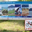 세종보 입구 이미지