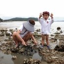 갯벌펜션(민박) 이미지