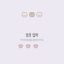 마이멜로우