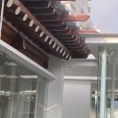 [안국] 세루리안 인사 : 내돈내산/솔직후기