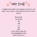 수수펫살롱 이미지