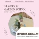 원예테라피 | 에어플랜트 틸란드시아 공중정원 만들기 | 병원 원예테라피 강의 후기