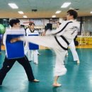 동대태권도 네이버블로그
