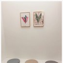 제이유(JU)헤어 이미지