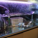 와우펫앤쥬 부산점 이미지