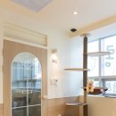 봄동살롱 이미지