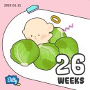에르니 주방세제/젖병세제/세탁세제/아기세제/온가족세탁세제/넘버나인세탁세제/육아용품_딱딱이 선물