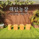 해창농장 네이버블로그