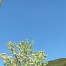 단디스크린골프 이미지