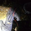 창기카센타 이미지