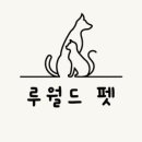 월드캣 이미지