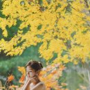 플로우스튜디오