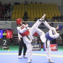 퍼펙트태권도 이미지