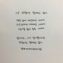 씨 식당 이미지