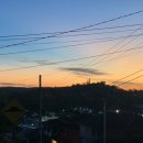 브리즈번 101 이미지