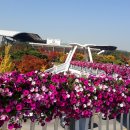 연암공원 이미지