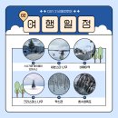 설경 | ❄️삿포로 4박 5일 2일차 | 여행한 그릇 비에이 버스투어 후기 (겨울 설경 코스)❄️