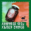 사양벌꿀 효능 담은 지리산 야생화 천연꿀