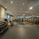 이지피티 이미지