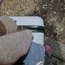 라운지펍 도도 | [여행] 대문자 P가 되,,, 1박2일 제주(1)