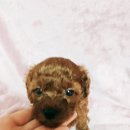 주주헤어클럽 이미지